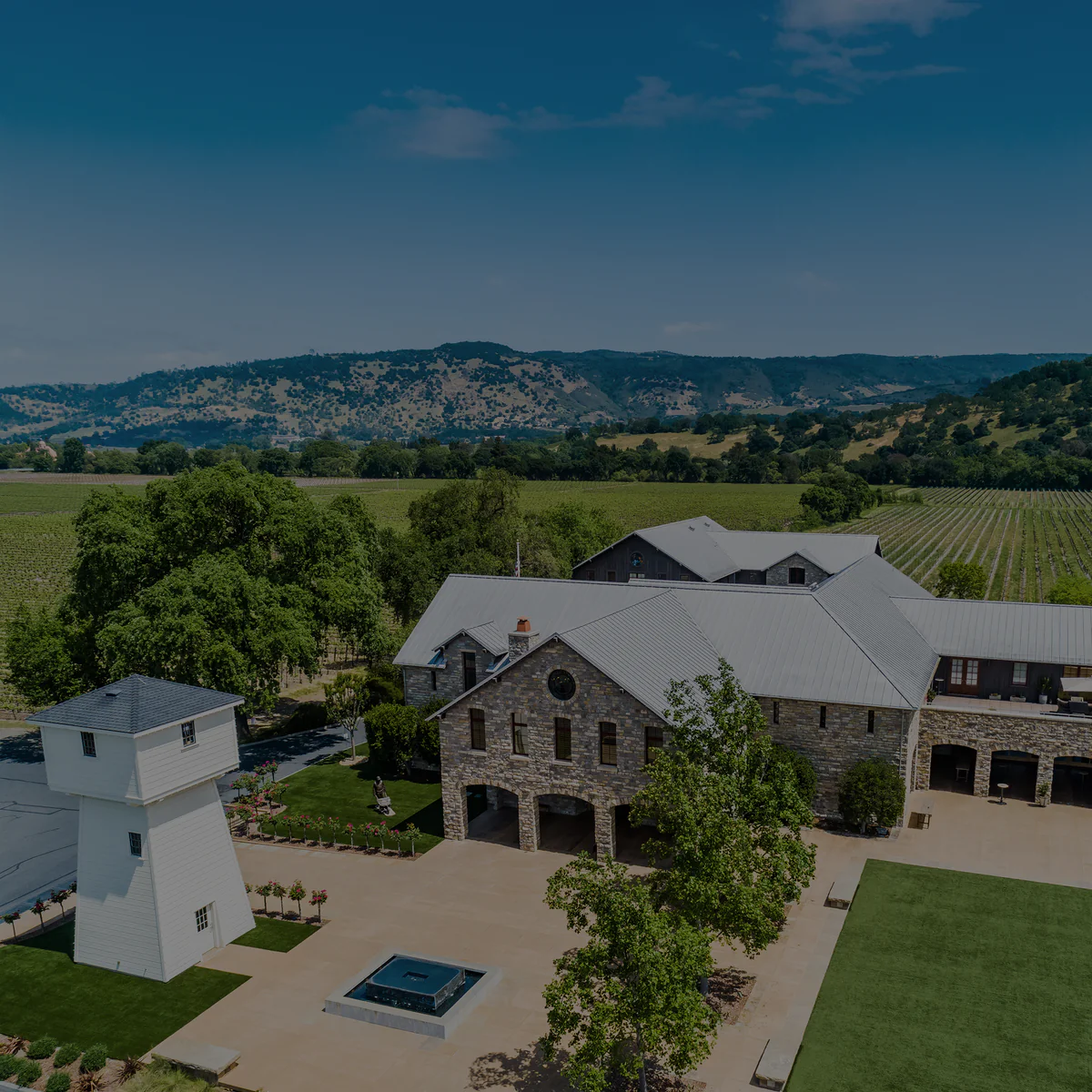 Fifty Years of Iconic Cabernet